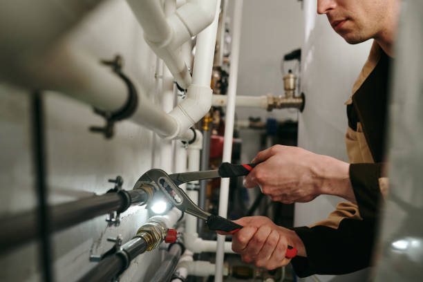 Best Plumbing Inspection Services  in North Utica, IL