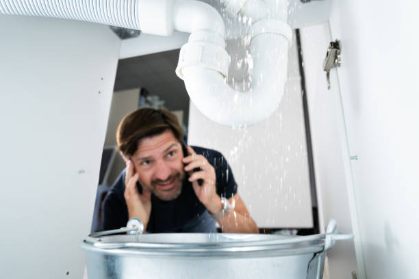 Best Same-Day Plumbing Service  in North Utica, IL