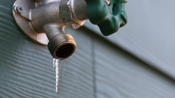 Best Sprinkler Systems  in North Utica, IL